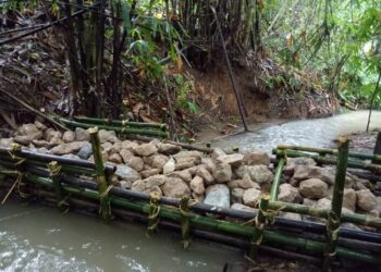 “ฝาย” สร้างหรือทำลายชีวิต?