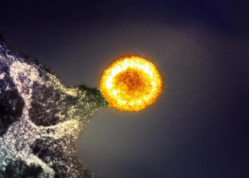 วัคซีน HIV เข้าสู่เฟสการทดลองแล้ว