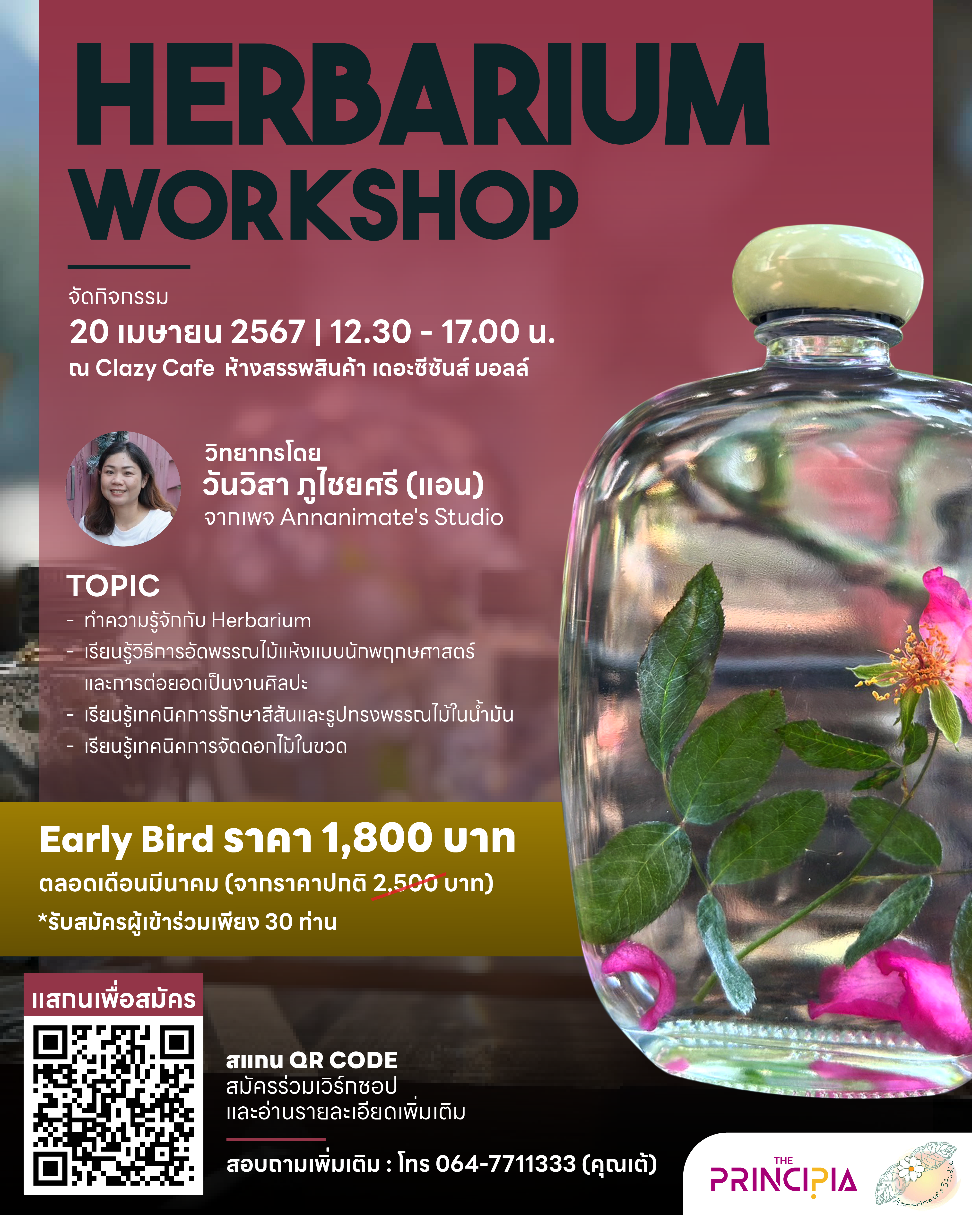 herbarium workshop early bird
